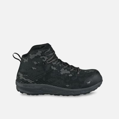 Irish Setter Nisswa - 83440