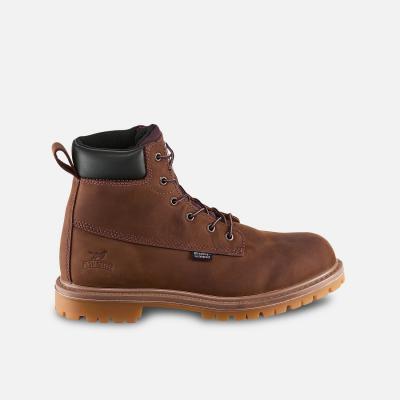 Irish Setter Kasota - 83614
