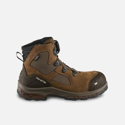 Irish Setter Ashby - 83658