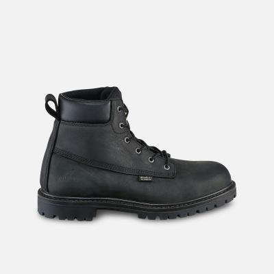 Irish Setter Hopkins - 83670