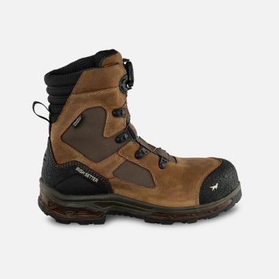 Irish Setter Ely - 83864